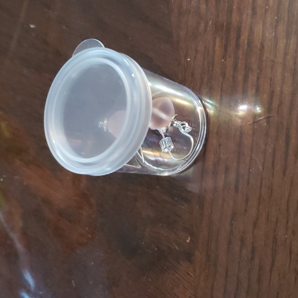 nwt earrings - Picture 2 of 2